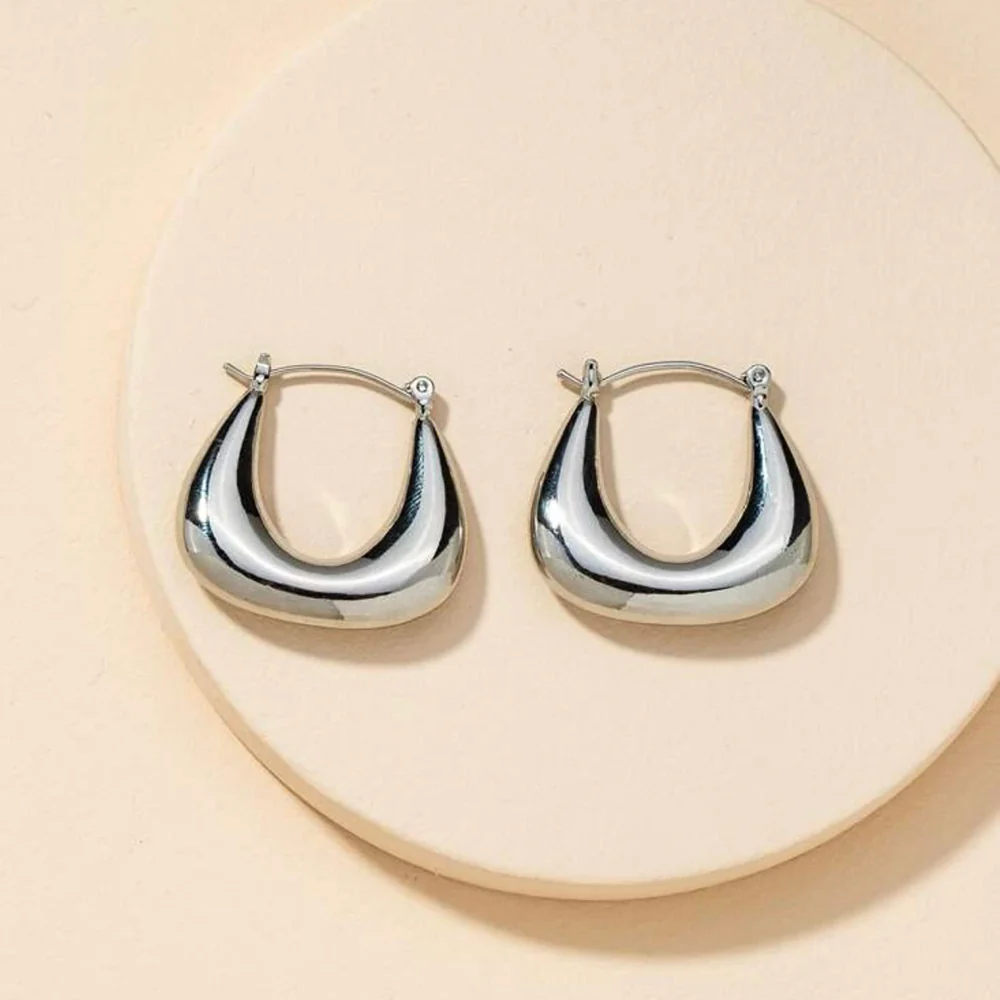 Sarina Hoop Earrings (Silver) - Image 4